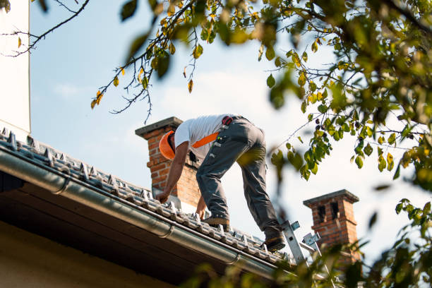Best Roof Restoration Services  in Byrdstown, TN